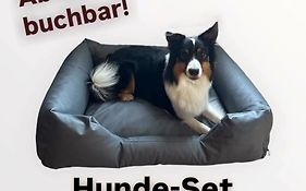 Seeschwalbe